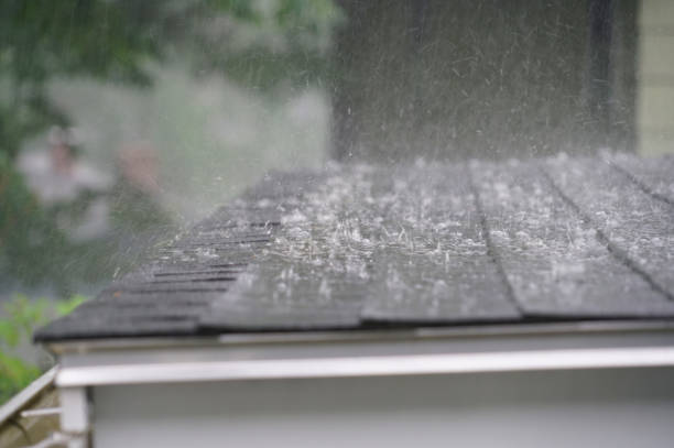 Roof Coating Services in Forest Acres, SC