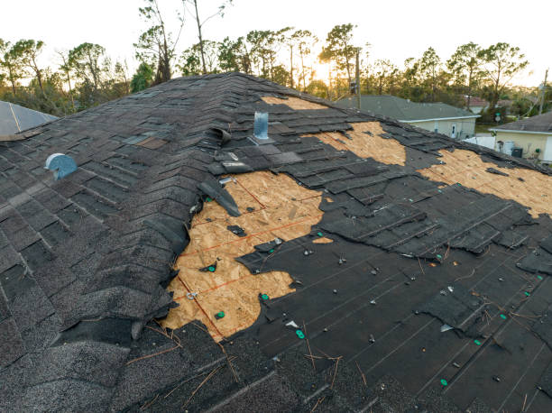 Best Roof Ventilation Installation  in Forest Acres, SC