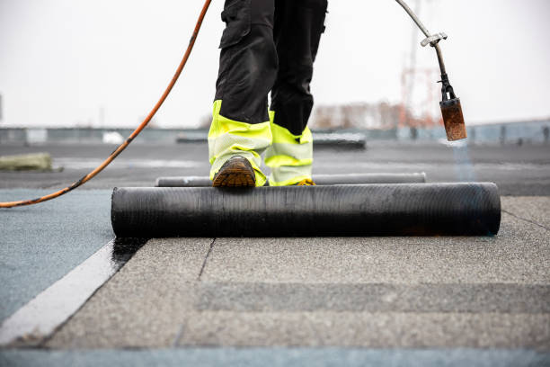 Best Chimney Flashing Repair  in Forest Acres, SC