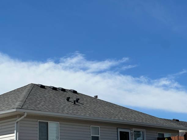 Best Steel Roofing  in Forest Acres, SC